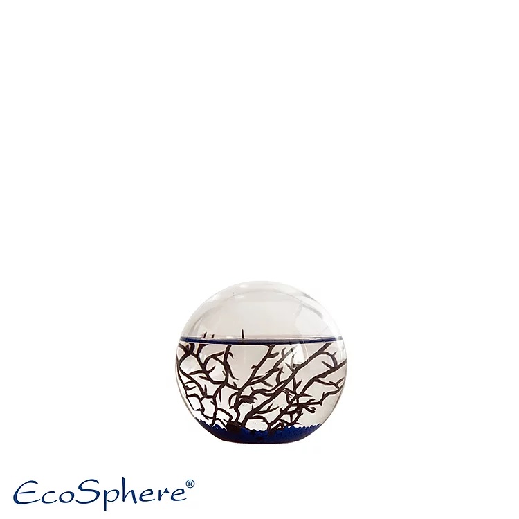 Ecosphère ronde (diamètre: 10 cm)